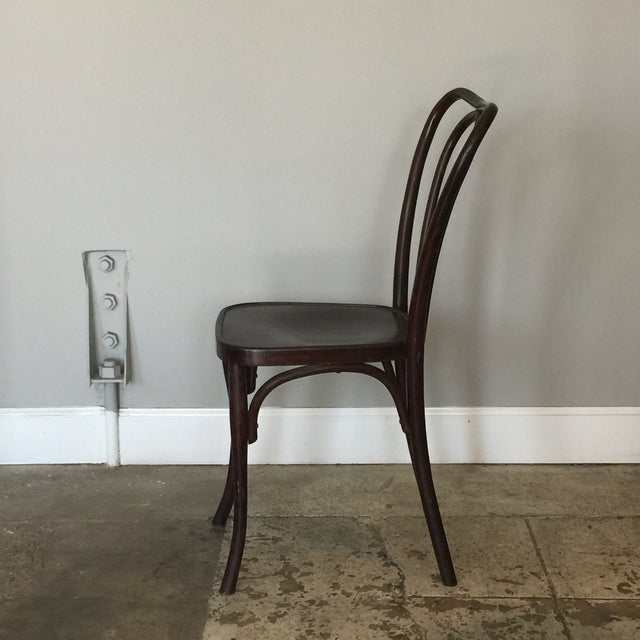 Early 20th Century Set of 8 Early 20th Century Wojciechów Thonet Chairs For Sale - Image 5 of 9