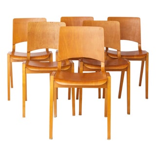 German Stackable Chairs in Beech from Wilkhahn, 1970s, Set of 6 For Sale