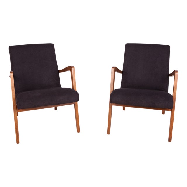 Set of Type 300-138 Beech Armchairs from Bystrzyckie Furniture Factory, 1960s For Sale