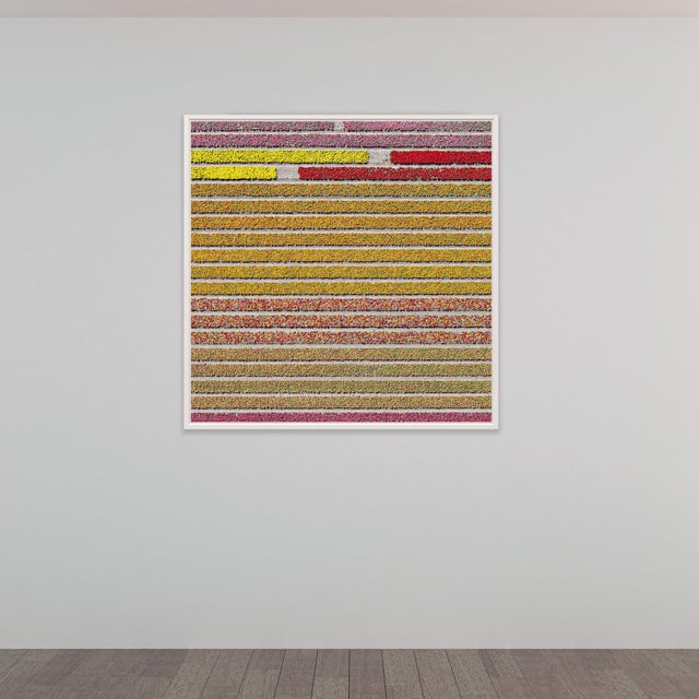 Edition Aerial Views Bernhard Lang Image: AV_Tulip_Fileds_031 Size B: 47,2 x 47,2 inches, 120 x 120 cm Captured in 2016 in...