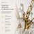 Aloadecor Hand-Blown Glass Chandelier in Warm Brass For Sale - Image 4 of 9