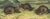 Original first edition Audubon stone lithograph from "The Viviparous Quadrupeds of North America", octavo edition, printed...