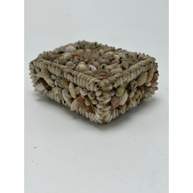 Small Vintage Shell Art For Sale In Charleston - Image 6 of 7