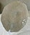 Pristine Excellent Pre-Owned Condition. Note: Plate stand is not included. This stunning Diamanté centerpiece bowl from...