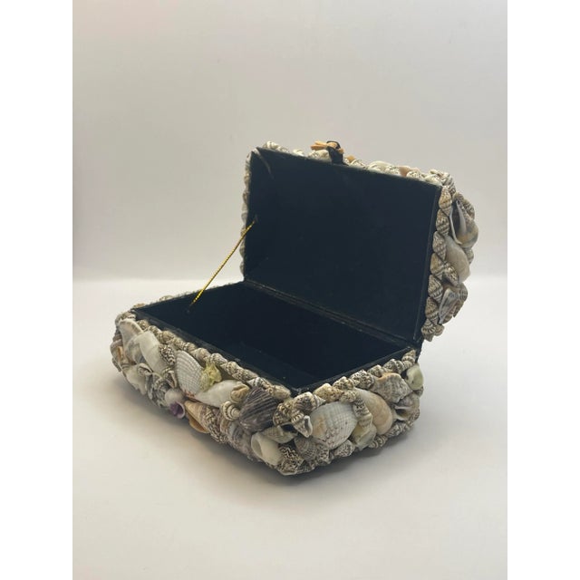 Vintage Seashell Vanity Box For Sale - Image 11 of 12