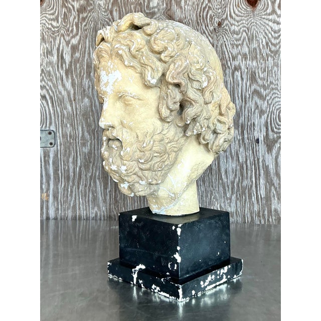Mid 20th Century Mid 20th Century Vintage Grand Tour Plaster Bust of Man For Sale - Image 5 of 12