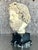 Mid 20th Century Mid 20th Century Vintage Grand Tour Plaster Bust of Man For Sale - Image 5 of 12