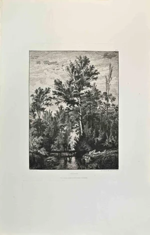 Leo Drouyn, Paysage, Etching, 1870s