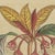 Bertuch, Flowering Shrub with Red Blossom, 1815, Print For Sale - Image 4 of 12