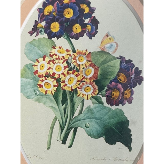 Shabby Chic 1970s Small Vintage Botanical Primula Chromolithograph in Handpainted Frame For Sale - Image 3 of 4