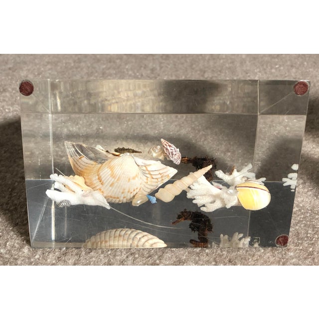 Mid-Century Modern Mid 20th Century Pair of Whimsical Clear Bookends With Seashells and Seahorse For Sale - Image 3 of 12
