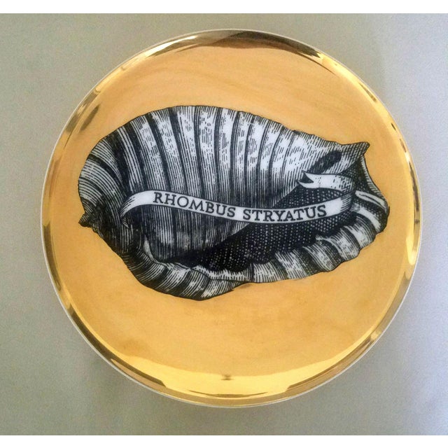 Ceramic Piero Fornasetti Porcelain Gilt Rare Seashell Plates, Conchyliorum Pattern, Set of Six Plates For Sale - Image 7 of 9