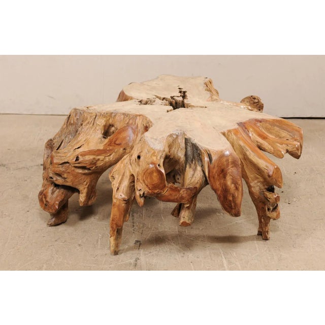 Wood Tropical Teak Root Hardwood Coffee Table For Sale - Image 7 of 12