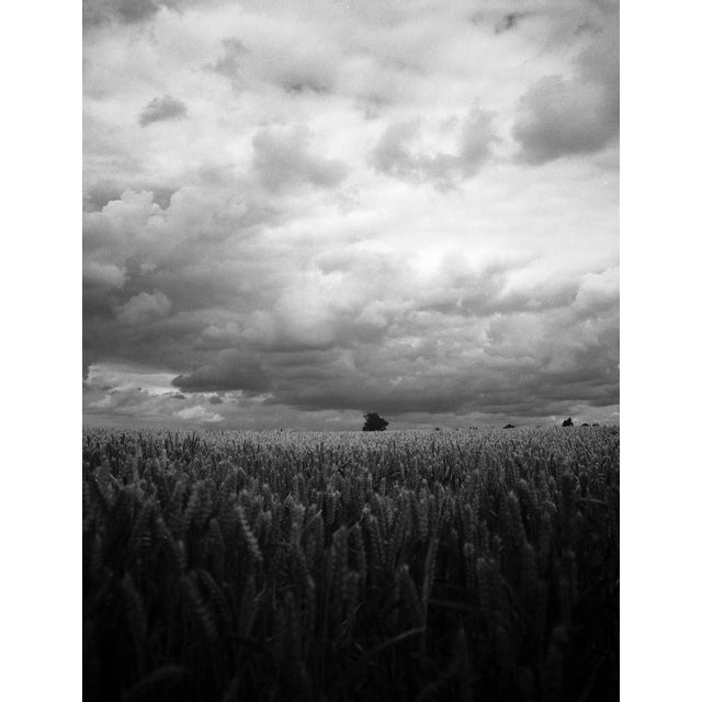 Paul Cooklin, Wheat Field, Occold III, Edition of 50 For Sale - Image 7 of 7