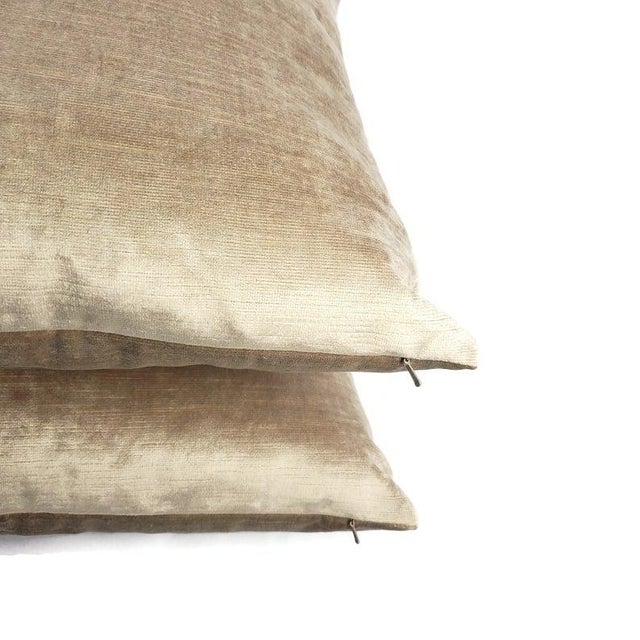 Textile Kravet Flamme Velvet in Greige Pillow Cover For Sale - Image 7 of 8