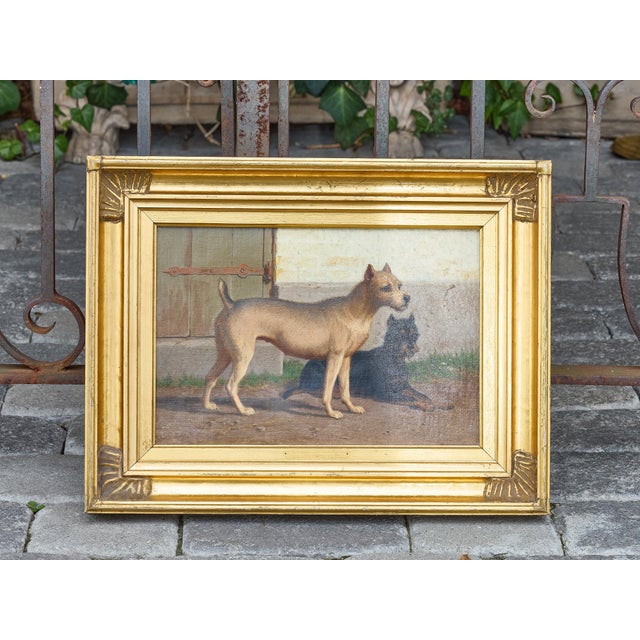 Early 20th Century Continental Oil Painting of Two Dogs in Courtyard, circa 1900 - Gilt Frame For Sale - Image 5 of 12