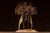A full-body wild turkey taxidermy mount posed in a dramatic strutting display. The bird is presented with its tail fully...