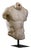 Unknown, Hellenistic Sculpture of a Male Torso, Plaster and Resin For Sale