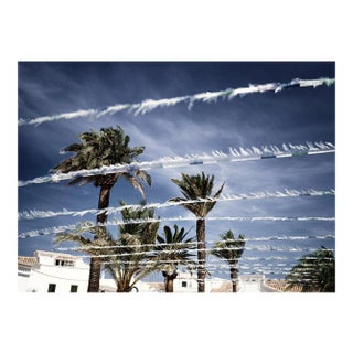 Palms, British Photograph, Holiday, 2004 For Sale