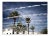 Palms, British Photograph, Holiday, 2004 For Sale