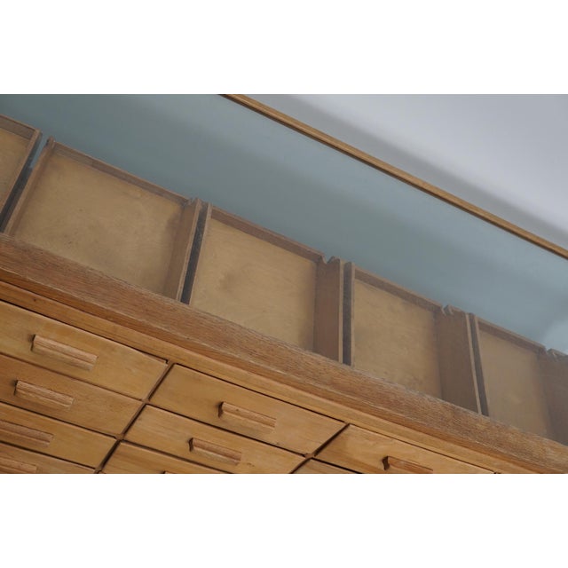 British Maple and Oak Haberdashery Cabinet or Shop Counter, 1930s For Sale - Image 16 of 18