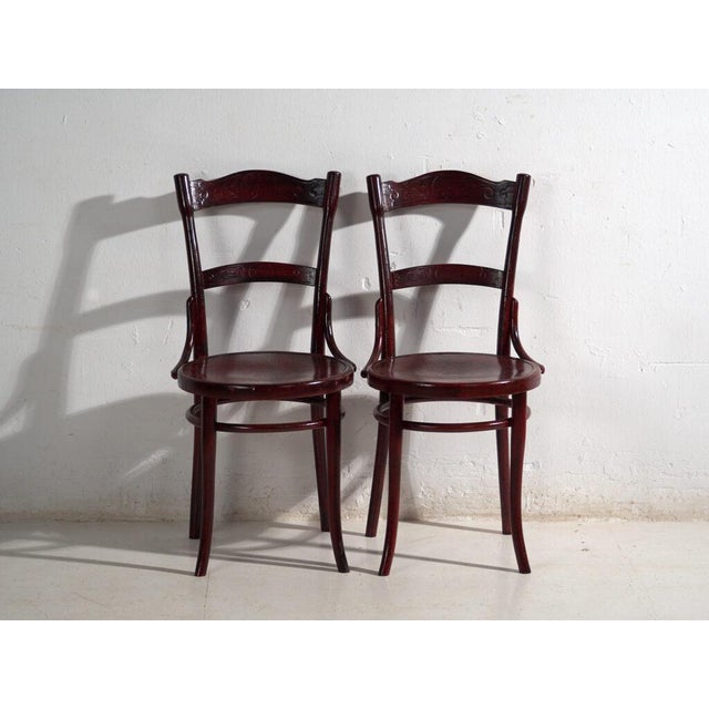 Thonet Antique Bentwood Chairs, Central Europe, 1900s, Set of 4 For Sale - Image 4 of 14