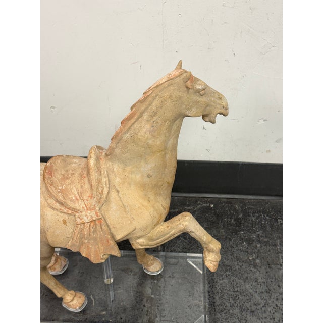 Ceramic Antique Pottery Tang Dynasty Style Horse + Lucite Stand For Sale - Image 7 of 12