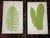 Printmaking Materials Antique 19th Century Botanical Fern Wood Engravings - Set of 12 For Sale - Image 7 of 9