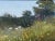 Summer Meadow Scene with Wildflowers & Trees in a serene English Countryside by 20th Century British Artist, Pamela Derry...