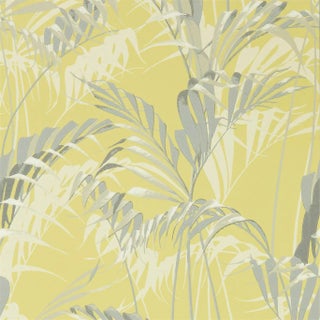Sanderson Palm House Wallpaper in Chartreuse/Grey - a Sample For Sale