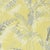 Sanderson Palm House Wallpaper in Chartreuse/Grey - a Sample For Sale