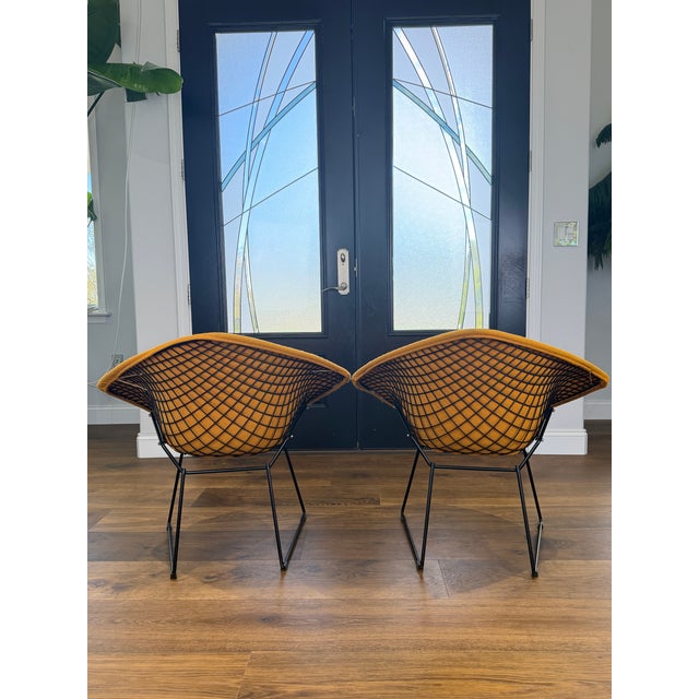 Knoll Vintage Harry Bertoia for Knoll Diamond Chairs in Original Mustard Upholstery — Pair For Sale - Image 4 of 15