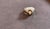 Metal 0.75 Carat Diamond Cocktail 18 Karat Yellow Gold Ring, Size 4, vs/ G For Sale - Image 7 of 8