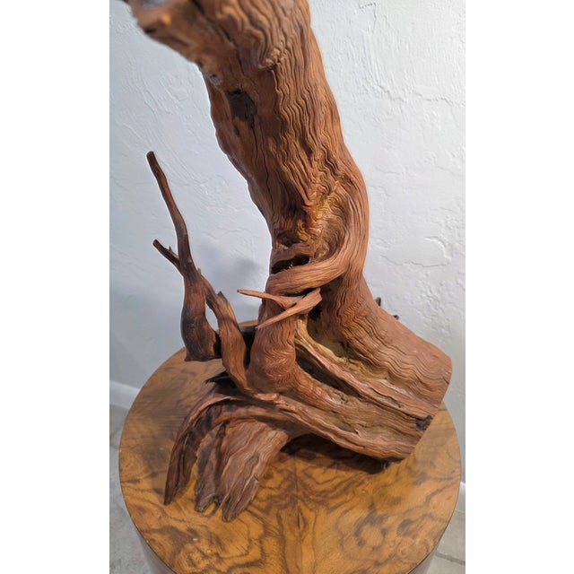 Vintage Driftwood MCM Wood Table Lamp For Sale In Jacksonville, FL - Image 6 of 12