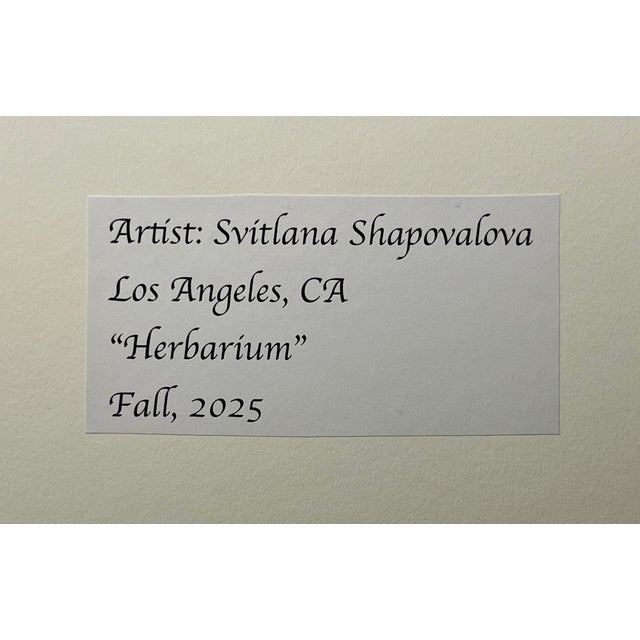 Original Herbarium by Artist Svitlana Shapovalova For Sale In Los Angeles - Image 6 of 6