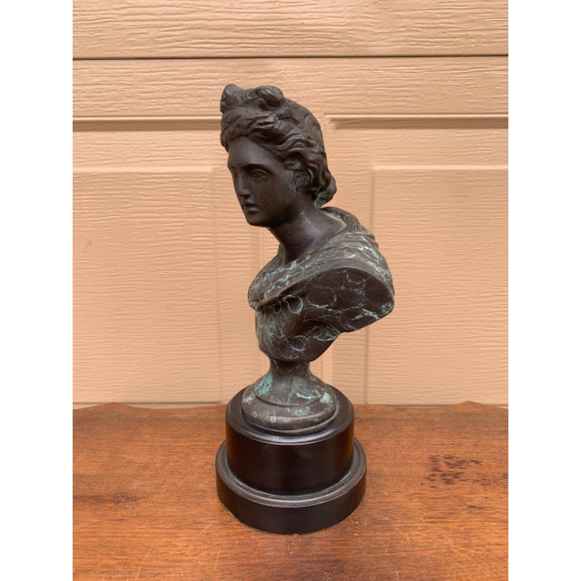 Classical Verdigris Brass Bust of Apollo Belvedere For Sale - Image 10 of 11