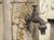 1960s Vintage French Cement Fountain Pillar From Provence For Sale - Image 5 of 18
