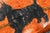 Fantastic Antique Handmade Burlwood Snuff Box Hand Painted Scottish Terrier Dog Top Tobacciana For Sale - Image 4 of 11