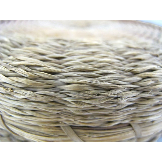Iroquois Native Sweetgrass & Ash Splint Checkered Rim Round Basket With Lid For Sale - Image 13 of 13