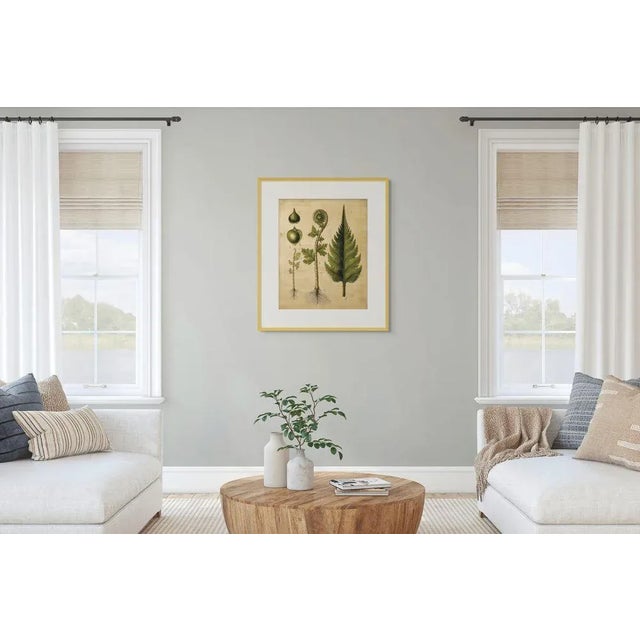 2020s Set of 6 - 8' X 10' 'Fiddlehead Fern Studies' Dark Green Botanical Floral Prints, Unframed For Sale - Image 5 of 9