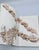 Sotheby's Van Cleef Magnificent Jewels New York Dec 06, 2006 Auction Catalog For Sale - Image 10 of 11