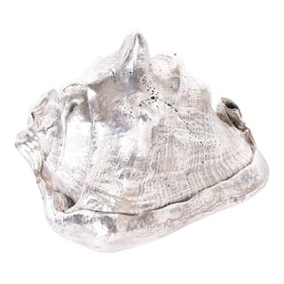 Silvered Metal Plated Seashell For Sale