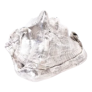 Silvered Metal Plated Seashell
