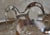 Late 20th Century Mod Sterling Silver Circle Cuff Bracelet For Sale - Image 4 of 15