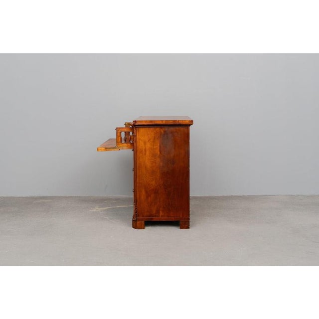 Wood 19th Century Biedermeier Chest of Drawers in Mahogany For Sale - Image 7 of 18