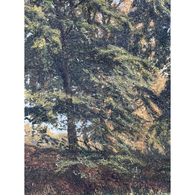 Gold Godfred Christensen, Sunlit Beech Forest, Oil Painting, 1879 For Sale - Image 8 of 11
