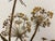 1980s Mary Jo Morris Botanical Embroidery Textile Art, Vintage For Sale - Image 5 of 12