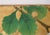 Japanese 18th Century Edo Period White Eagle Painting on Gold Paper For Sale - Image 10 of 17