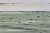 Abstract Contemporary Natural Color Palette Abstract Landscape Painting / Color Field / Beach Art For Sale - Image 3 of 11