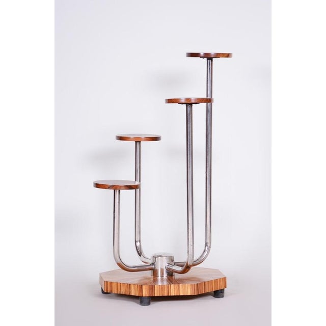 Bauhaus Chrome and Zebrano Wood Flower Stand attributed to Mücke-Melder, Czechoslovakia, 1930s For Sale - Image 4 of 8